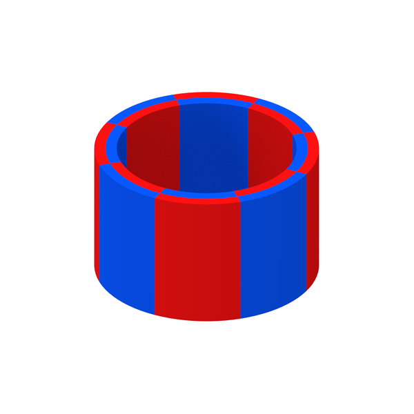 Magnetização diametral multipolar-imagem destacada